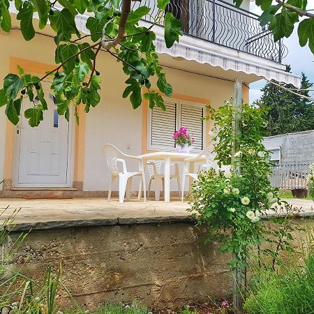 Apartmani Mlinar Gornji Karin Zewnętrze zdjęcie